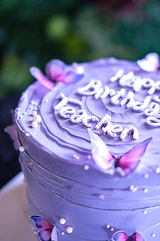 Butik Motto Mor Kelebekli