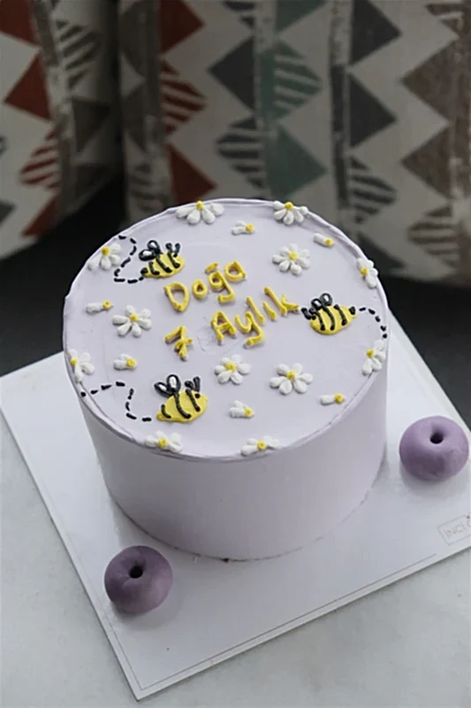 Butik Motto Arı Desenli 7 Aylık