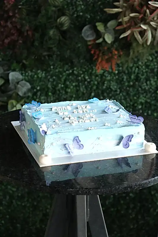 Butik Kare - Dörtgen Kelebekli Mavi Motto Pasta