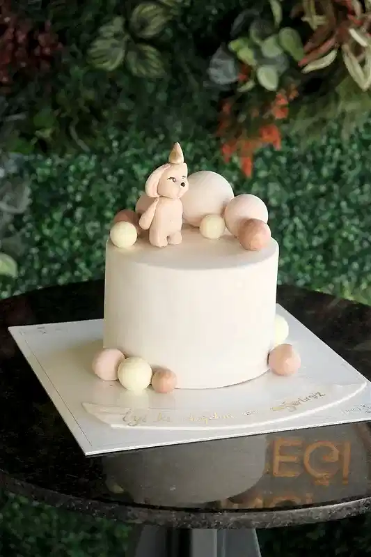 Butik Köpekli Pasta