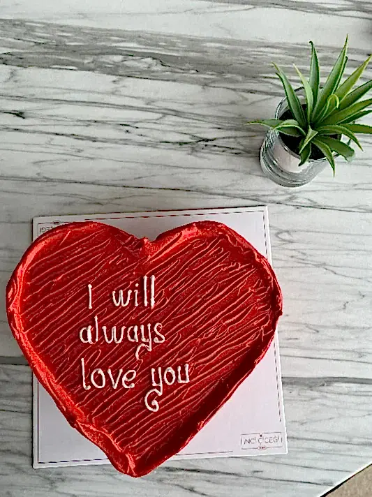 Butik Krmz Kalpli Pasta