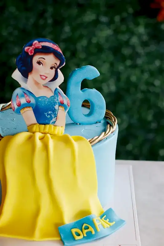 Butik Pamuk Prensesli Pasta